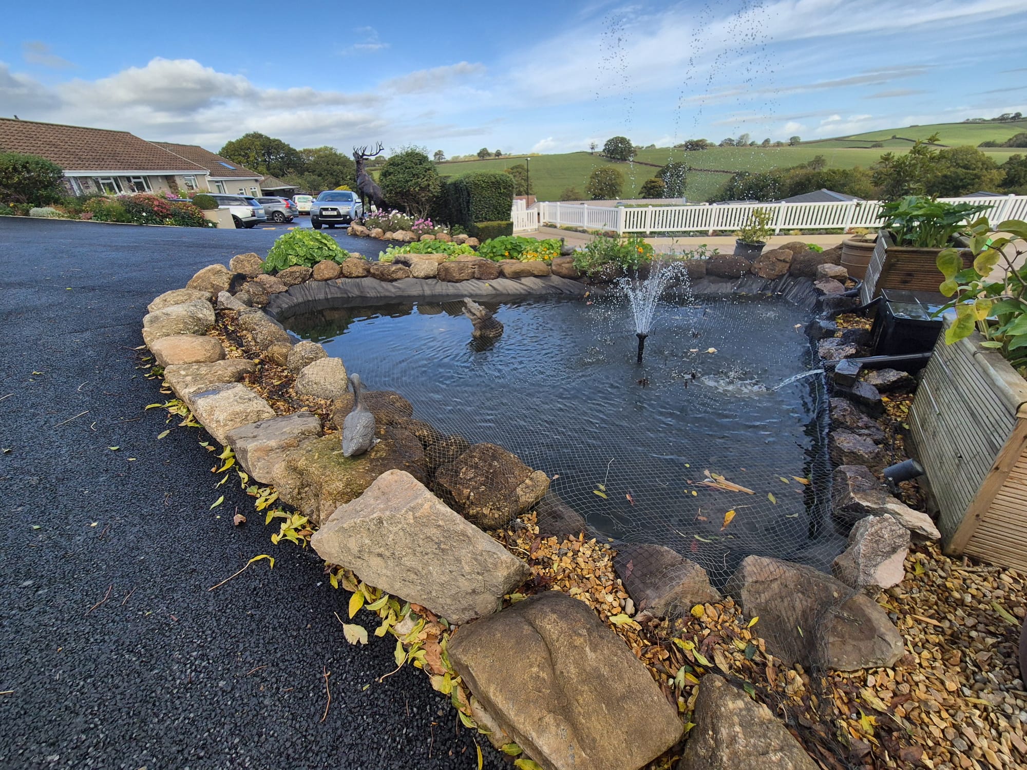 Site image pond
