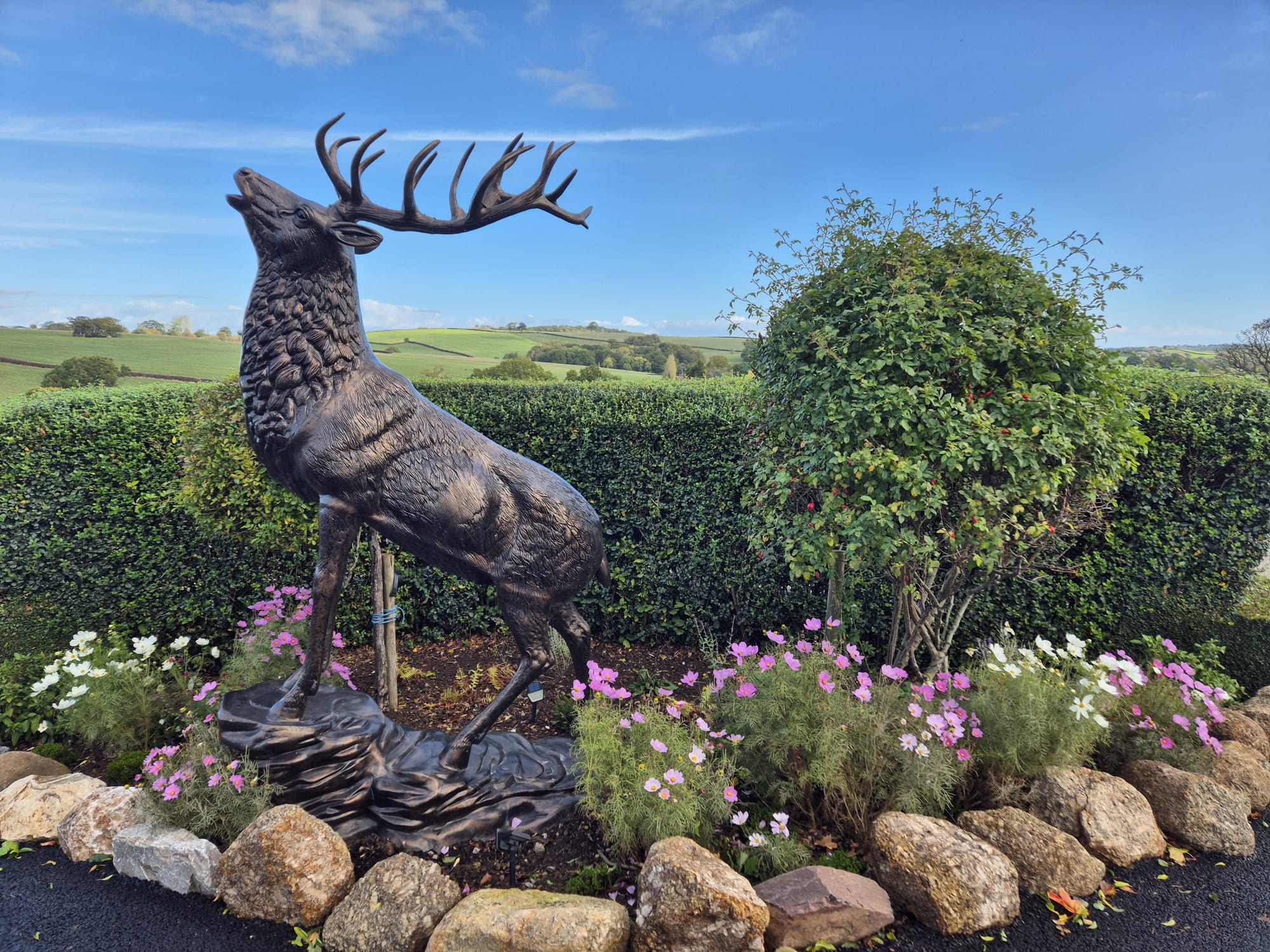 Site image stag statue